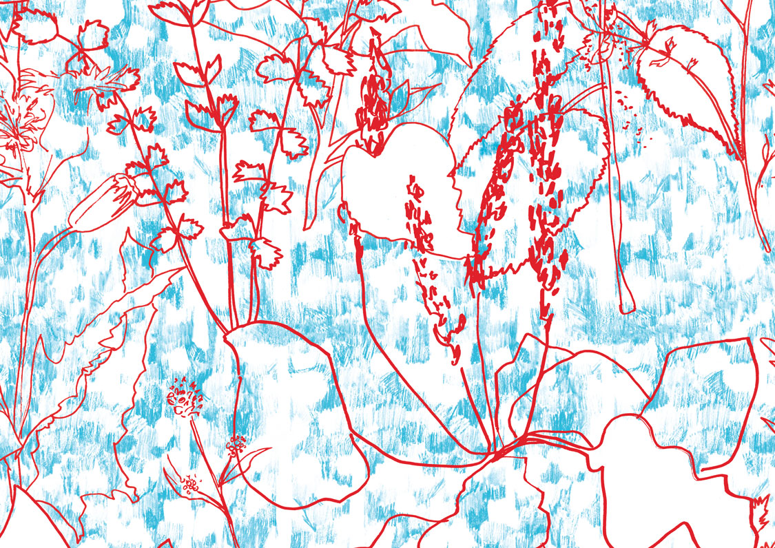 colo-bleu-broussaille