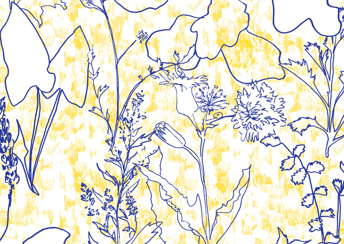 colo-jaune-broussaille