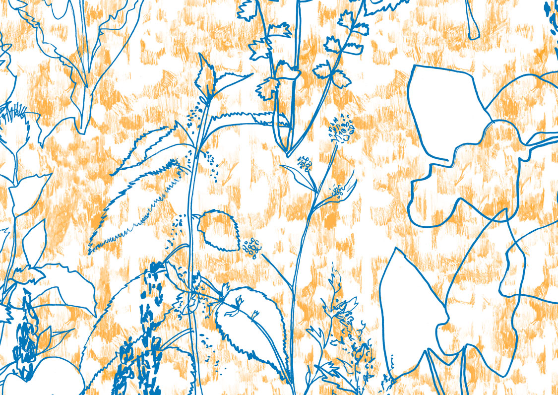 colo-ocre-broussaille